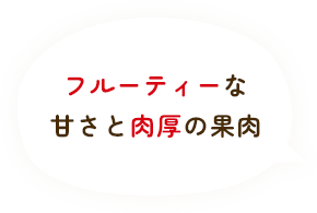 フルーティーな甘さと肉厚の果実